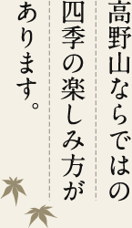 高野山ならではの四季の楽しみ方があります。