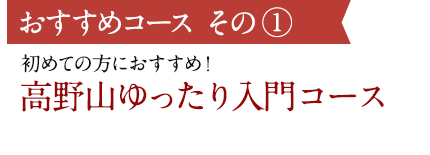 おすすめコースその1 初めての方におすすめ！高野山ゆったり入門コース