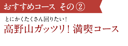 おすすめコースその2 とにかくたくさん回りたい！高野山ガッツリ！満喫コース