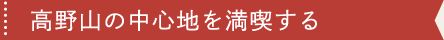 高野山の中心地を満喫する