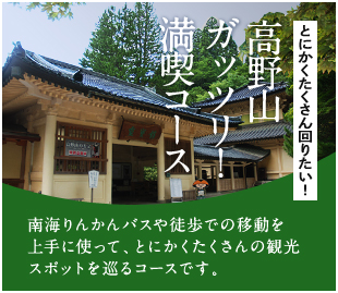 とにかくたくさん回りたい！高野山ガッツリ！満喫コース